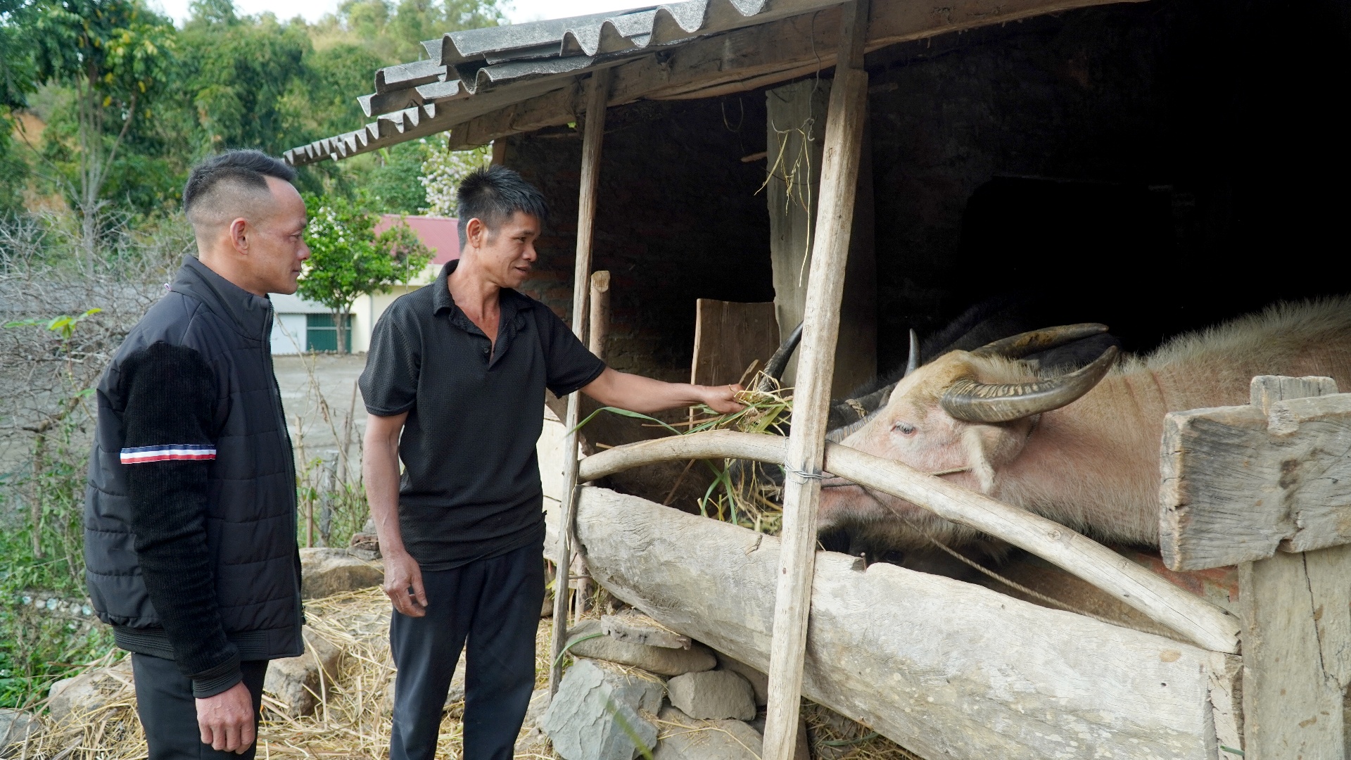 Lai Châu: Đổi thay ở Mường Kim