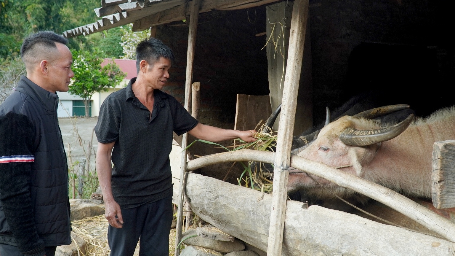Lai Châu: Đổi thay ở Mường Kim