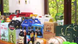 Xây dựng nông thôn mới hiện đại, giảm nghèo và phát triển vùng đồng bào DTTS Lâm Đồng