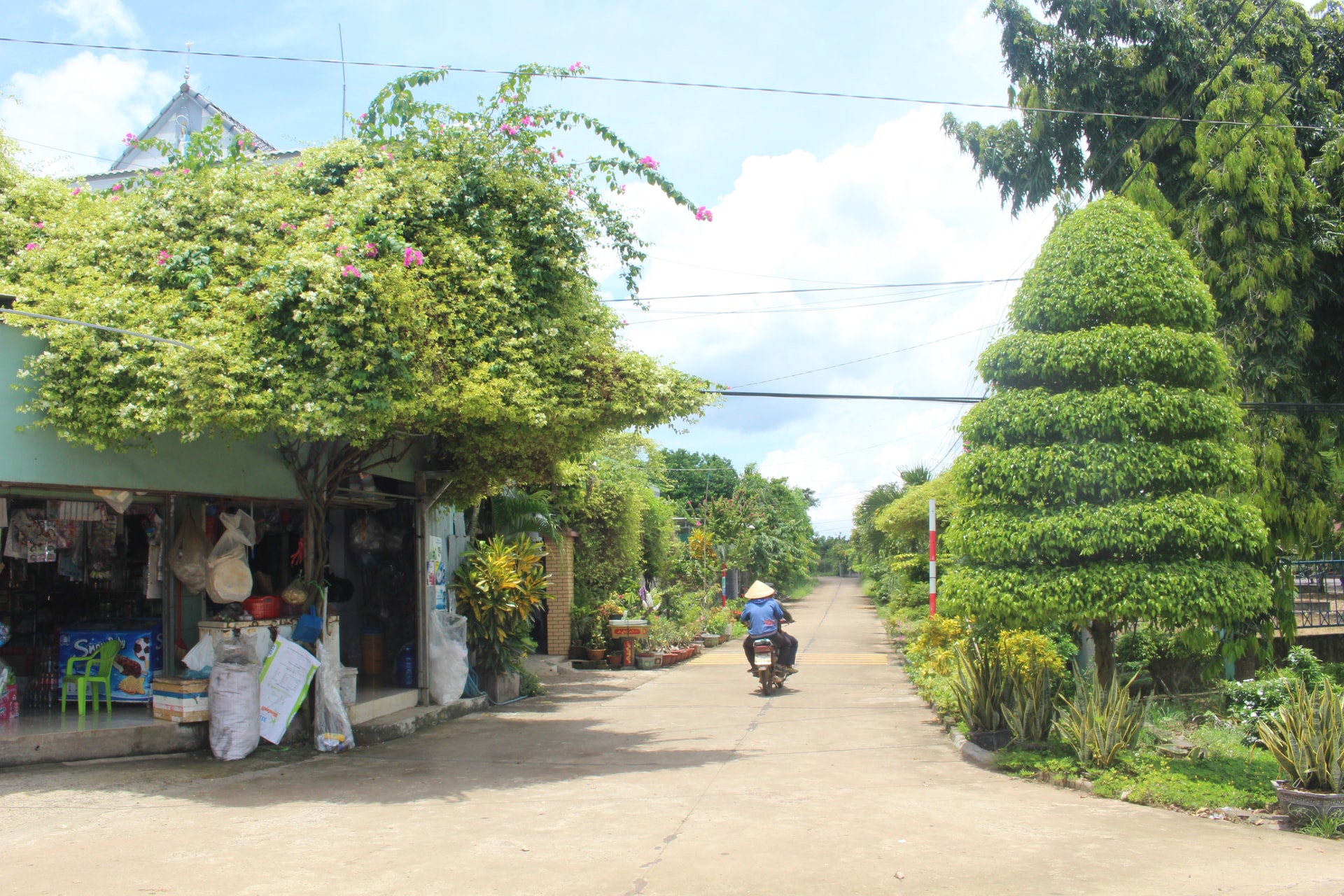 Xây dựng nông thôn mới hiện đại, giảm nghèo và phát triển vùng đồng bào DTTS Lâm Đồng Xây dựng nông thôn mới hiện đại, giảm nghèo và phát triển vùng đồng bào DTTS Lâm Đồng