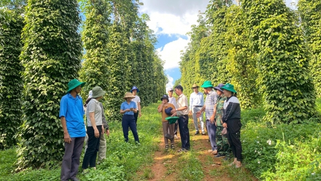 Lâm Đồng: “Kịch bản” tăng trưởng ngành trồng trọt