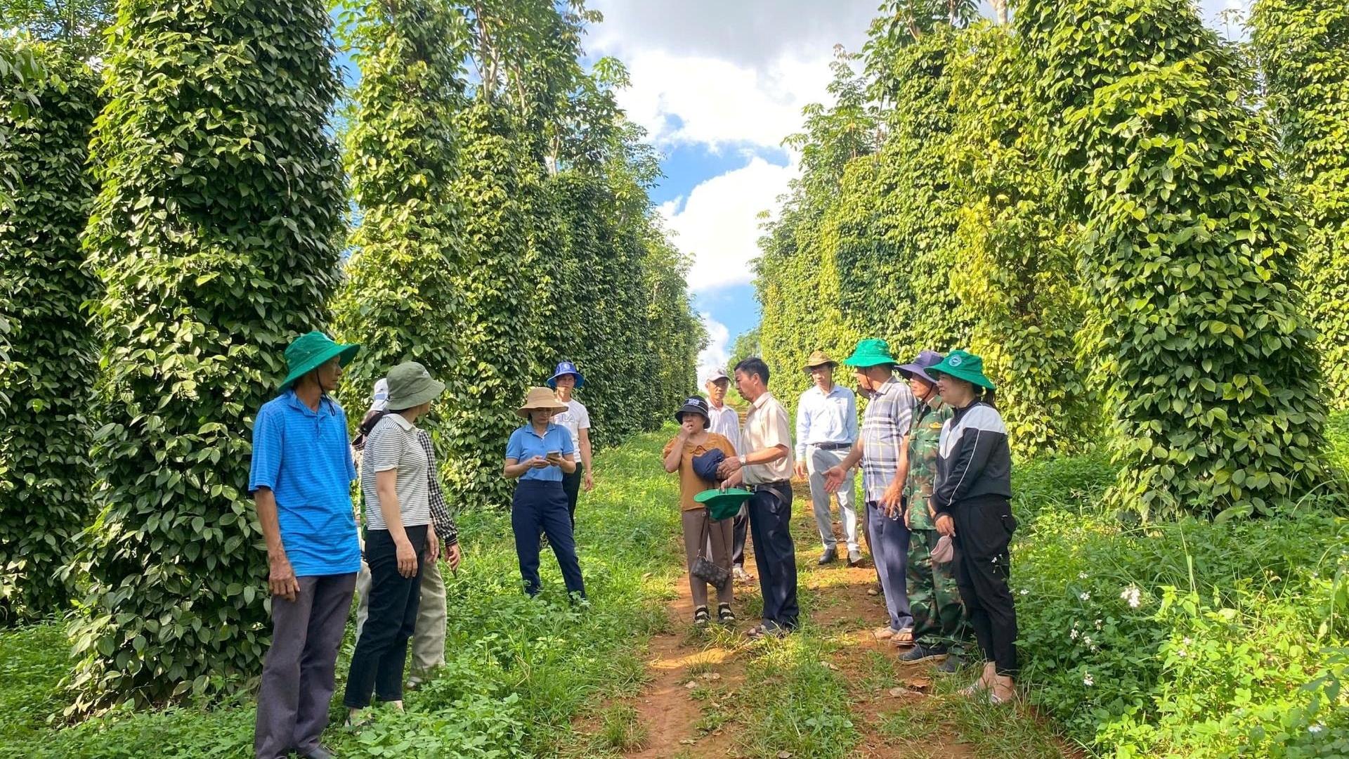 Lâm Đồng: “Kịch bản” tăng trưởng ngành trồng trọt