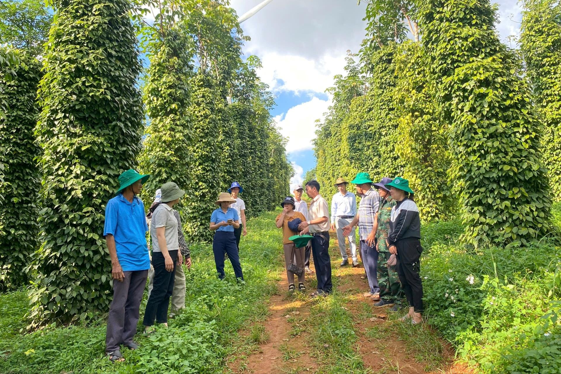 Lâm Đồng: “Kịch bản” tăng trưởng ngành trồng trọt