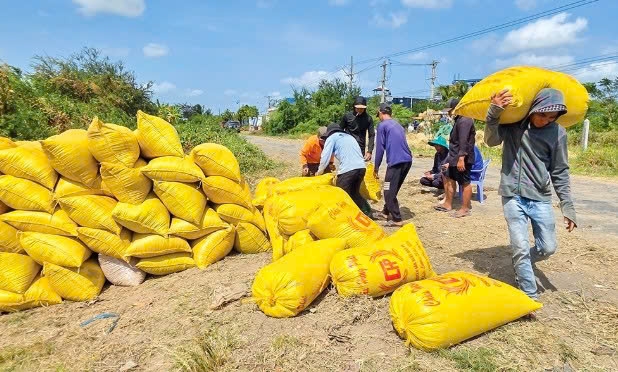 Cần Thơ: "Vượt cơn gió ngược..." Cần Thơ: "Vượt cơn gió ngược..."