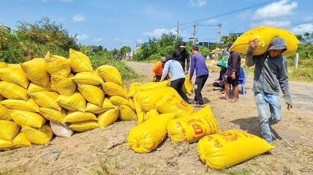 Cần Thơ: "Vượt cơn gió ngược..."