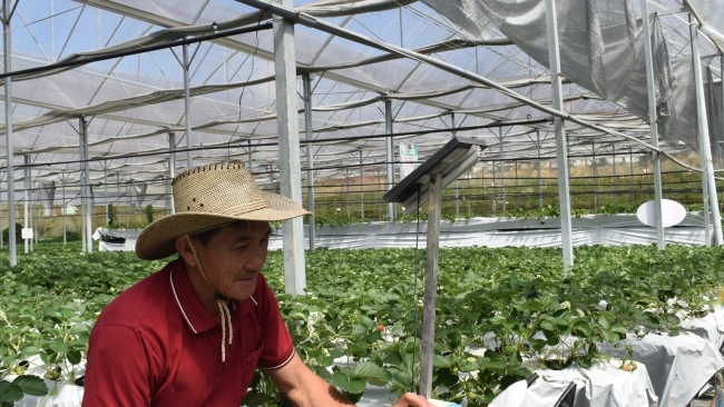 Lâm Đồng: Phát triển Trung tâm dữ liệu đạt tiêu chuẩn quốc tế