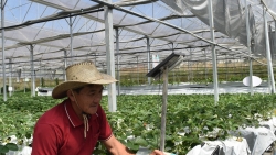 Lâm Đồng: Phát triển Trung tâm dữ liệu đạt tiêu chuẩn quốc tế