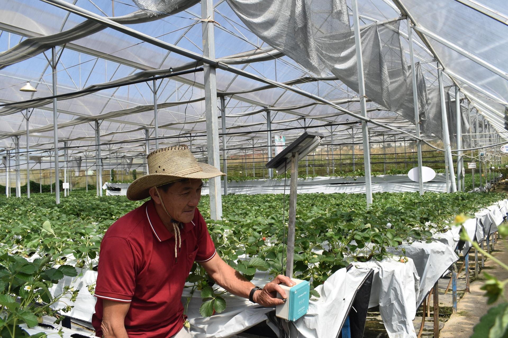 Lâm Đồng: Phát triển Trung tâm dữ liệu đạt tiêu chuẩn quốc tế Lâm Đồng: Phát triển Trung tâm dữ liệu đạt tiêu chuẩn quốc tế