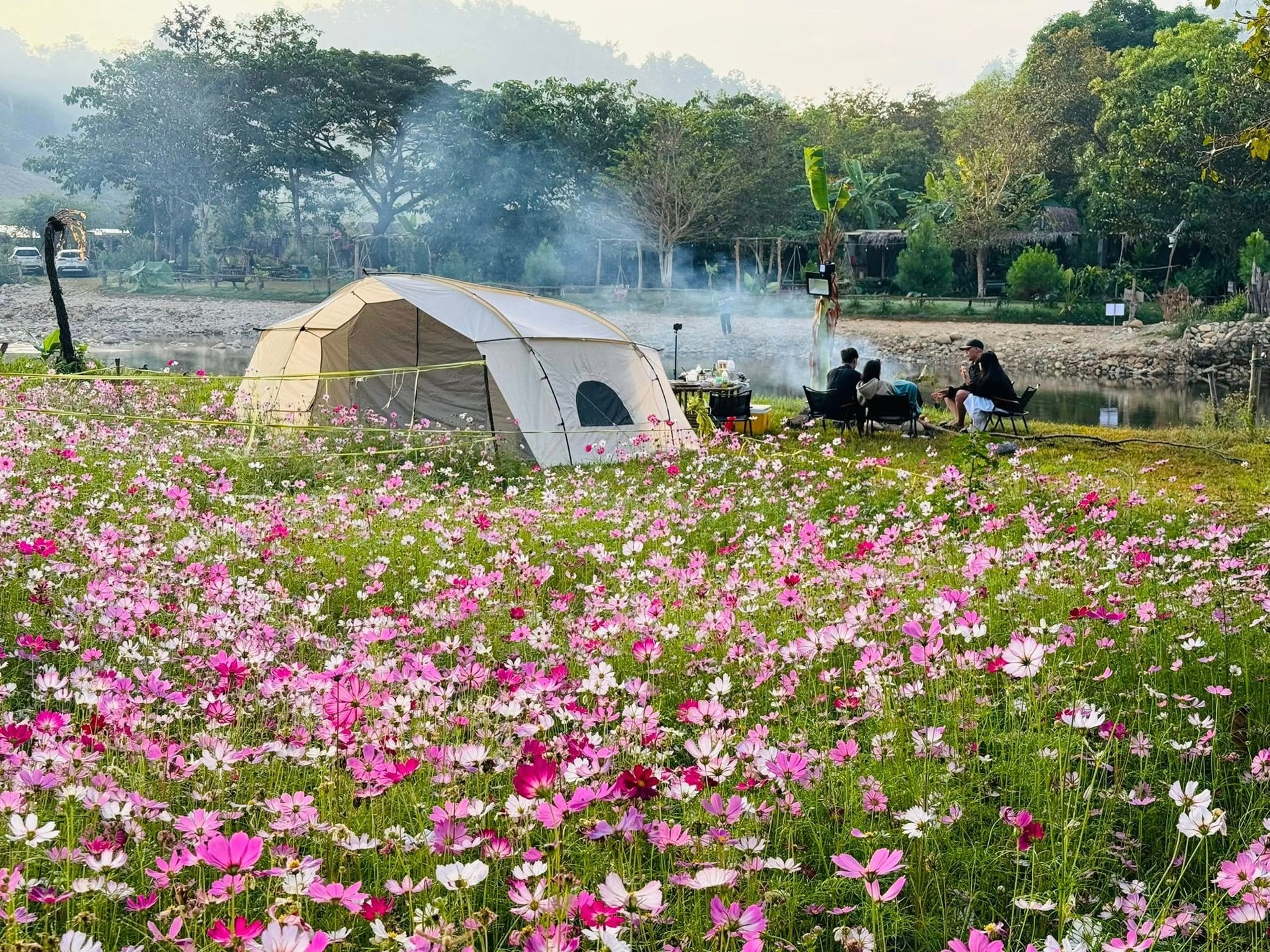 Lâm Đồng: Phát triển du lịch nông nghiệp cần có chiều sâu