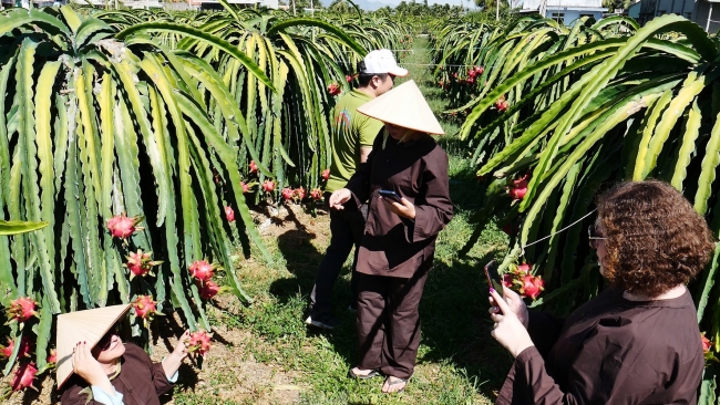 Lâm Đồng: Phát triển du lịch nông nghiệp cần có chiều sâu