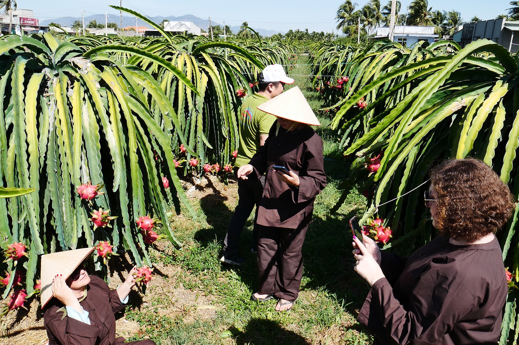 Lâm Đồng: Phát triển du lịch nông nghiệp cần có chiều sâu