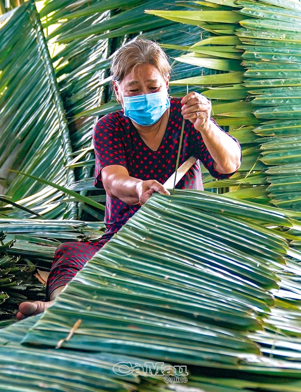Cà Mau: Nghề chằm lá ở U Minh