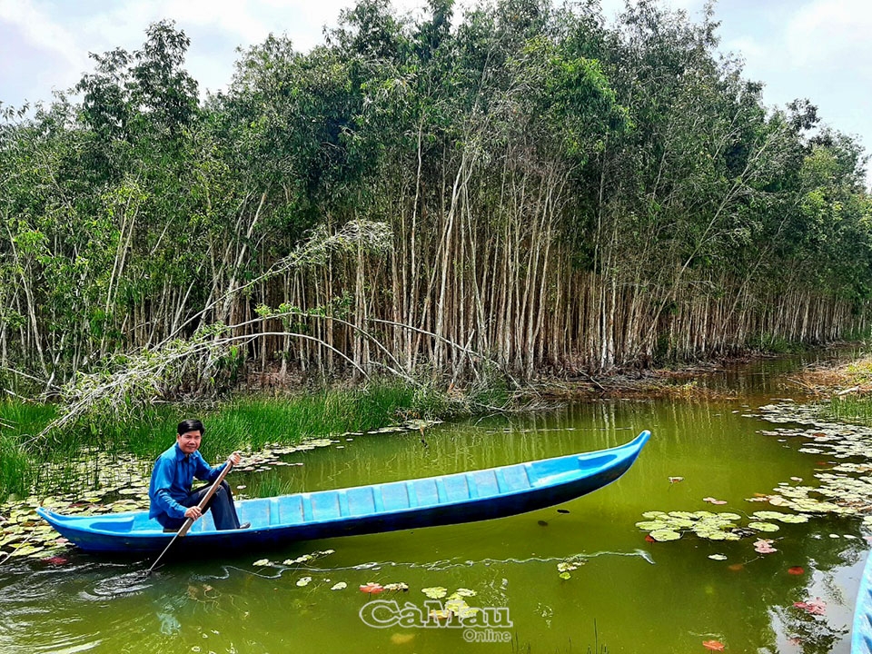 Cà Mau: “Hương rừng U Minh” - Hành trình đến Du lịch xanh