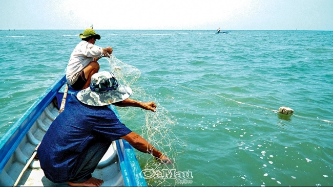 Cà Mau: “Săn” cá chẽm ở Hòn Ðá Bạc