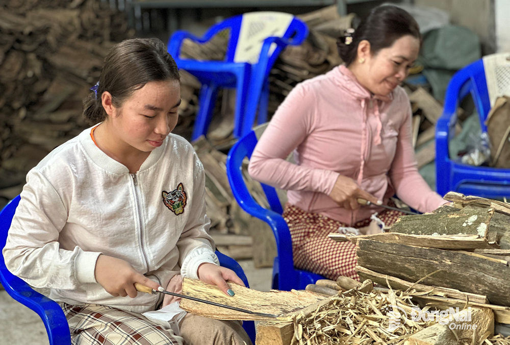 Đồng Nai: Xây dựng thương hiệu cho làng nghề trầm hương nổi tiếng