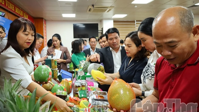 Cần Thơ: Kết nối giao thương Cần Thơ - Quảng Ninh