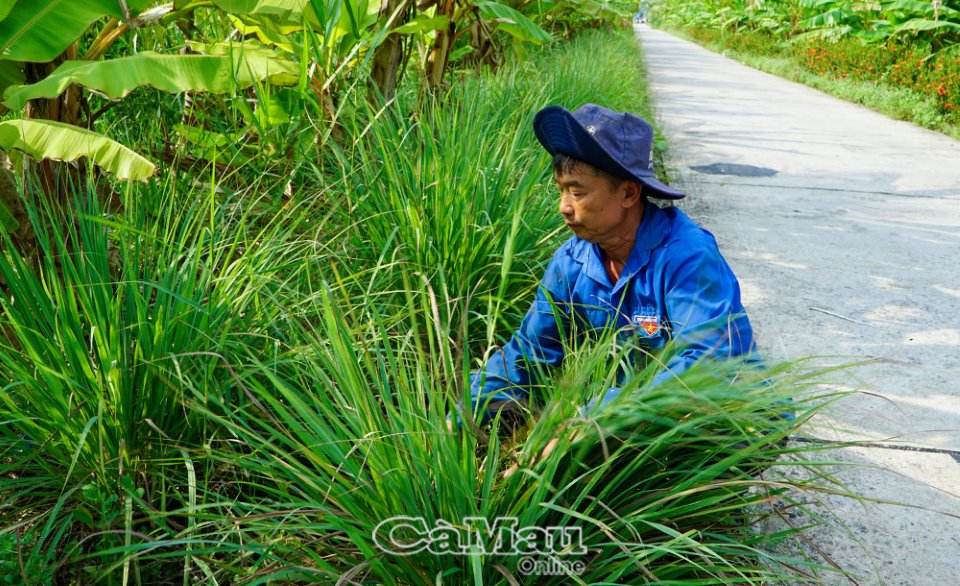 Cà Mau: Sinh kế mới cho cư dân rừng tràm