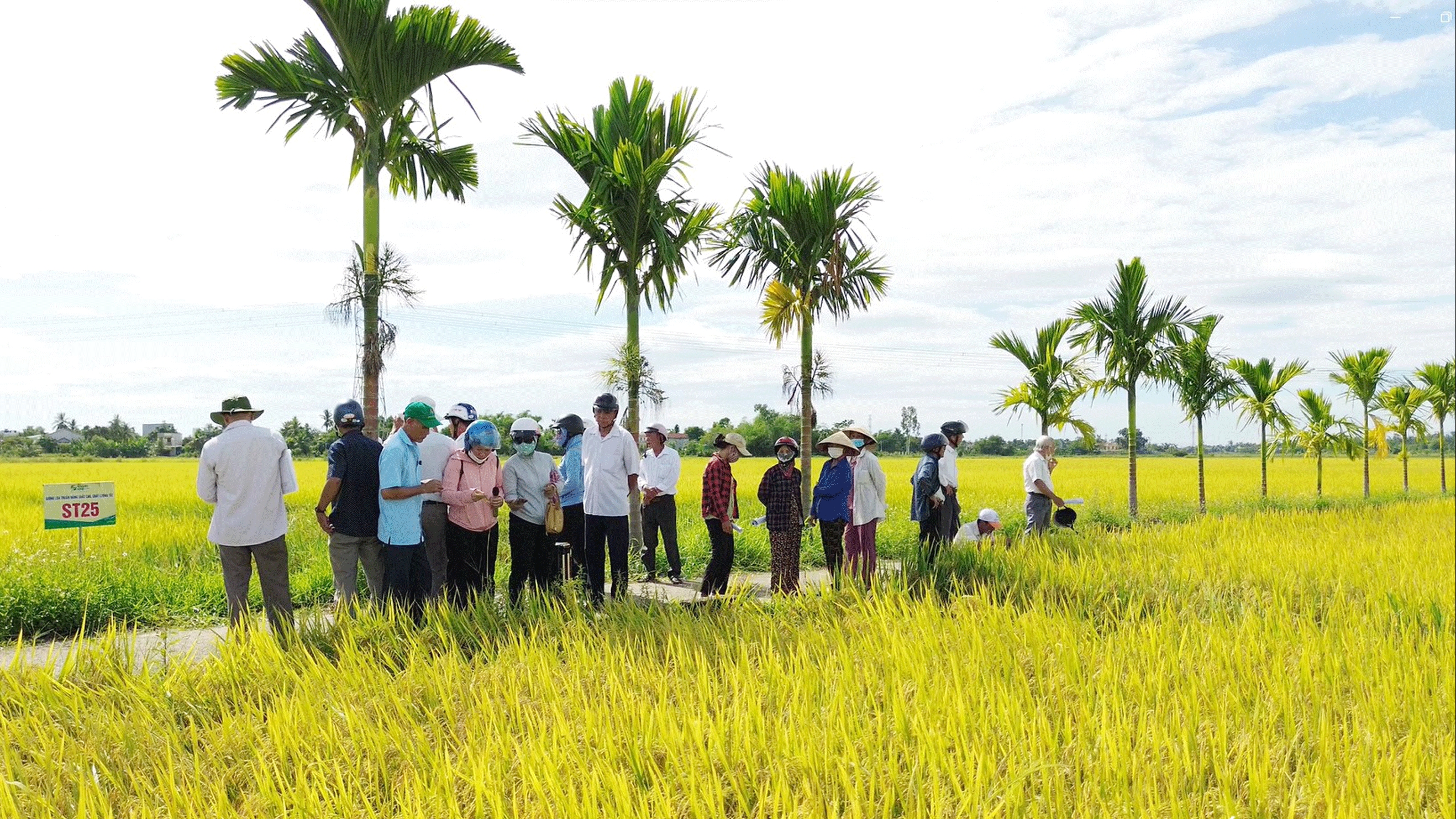 Đà Nẵng: Khuyến nông để trợ lực cho nông dân phát triển kinh tế