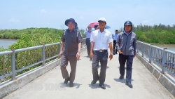 Bến Tre: Chủ tịch UBND tỉnh Trần Ngọc Tam khảo sát kêu gọi đầu tư tại huyện Thạnh Phú