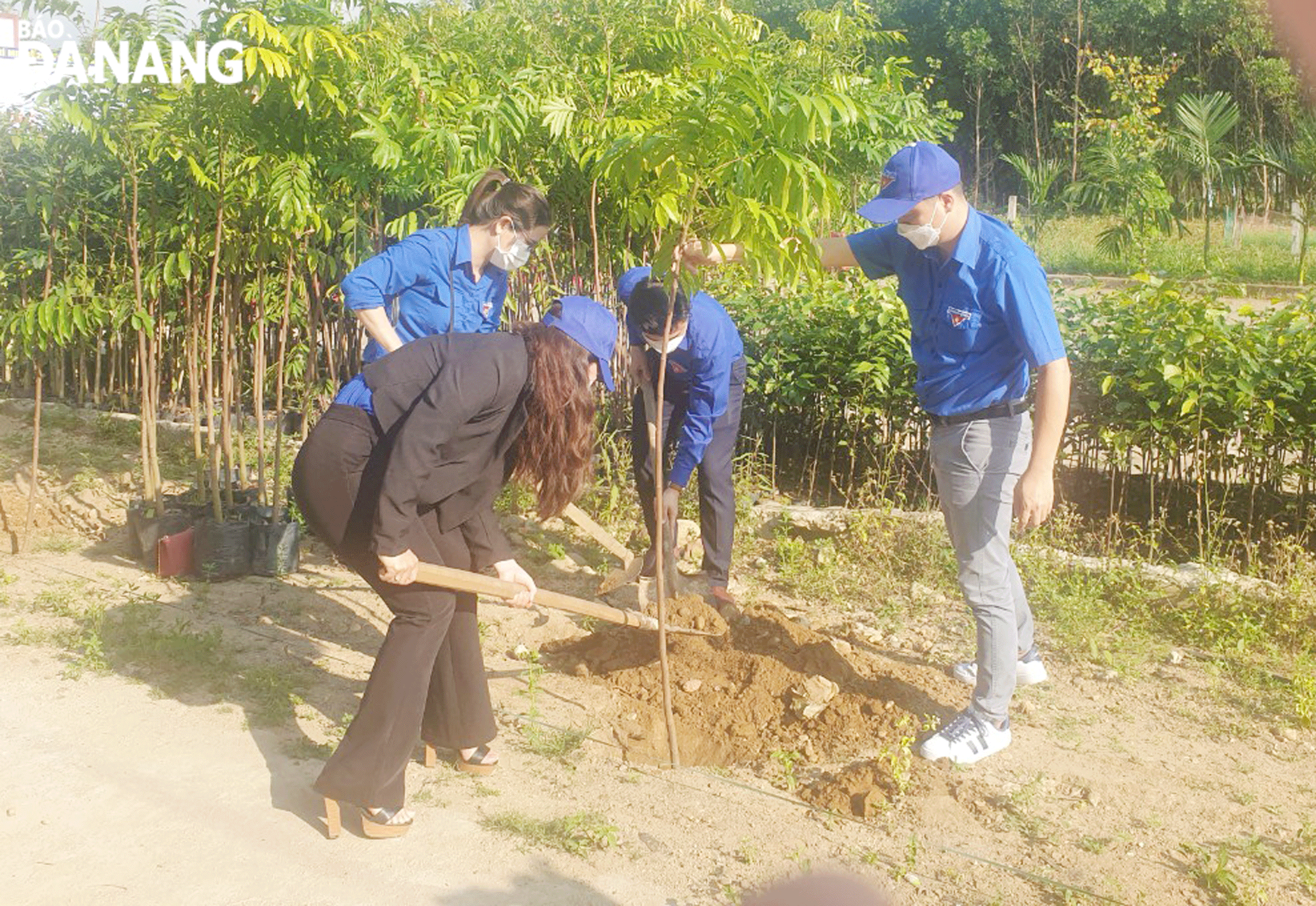Đoàn Thanh niên Sở Nông nghiệp và Phát triển nông thôn thực hiện công trình, phần việc thanh niên tại huyện Hòa Vang. Ảnh: X.H