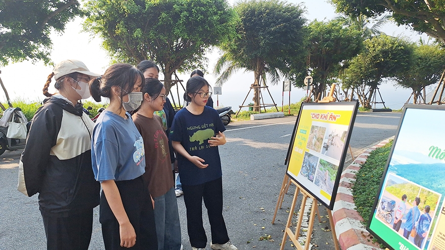 Đà Nẵng: Gần 700 tình nguyện viên tham gia "Clean up Son Tra - Vì một Sơn Trà xanh"