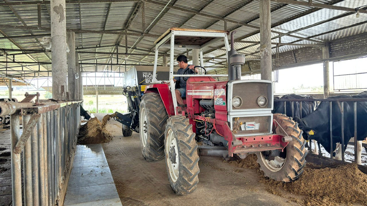 Lâm Đồng: Trang trại bò mẫu của nông dân trẻ Lâm Đồng: Trang trại bò mẫu của nông dân trẻ