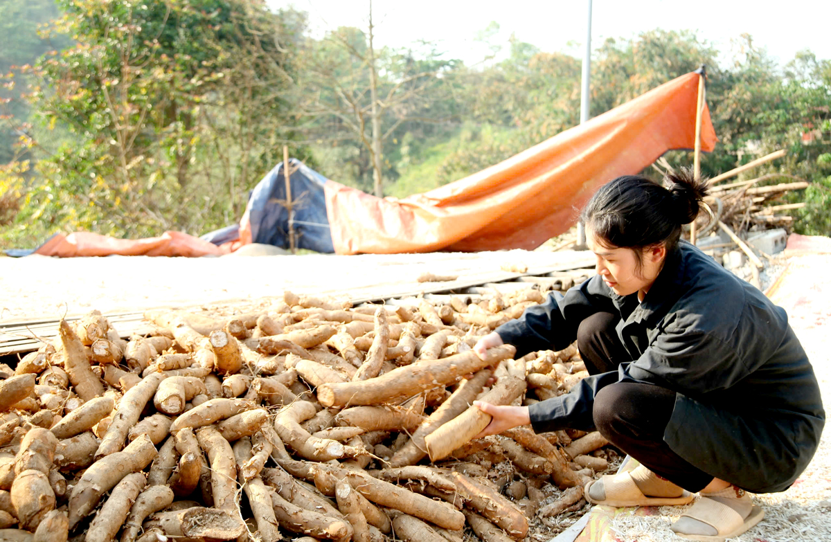 Hà Giang: Ngam La với các mô hình kinh tế mới Hà Giang: Ngam La với các mô hình kinh tế mới