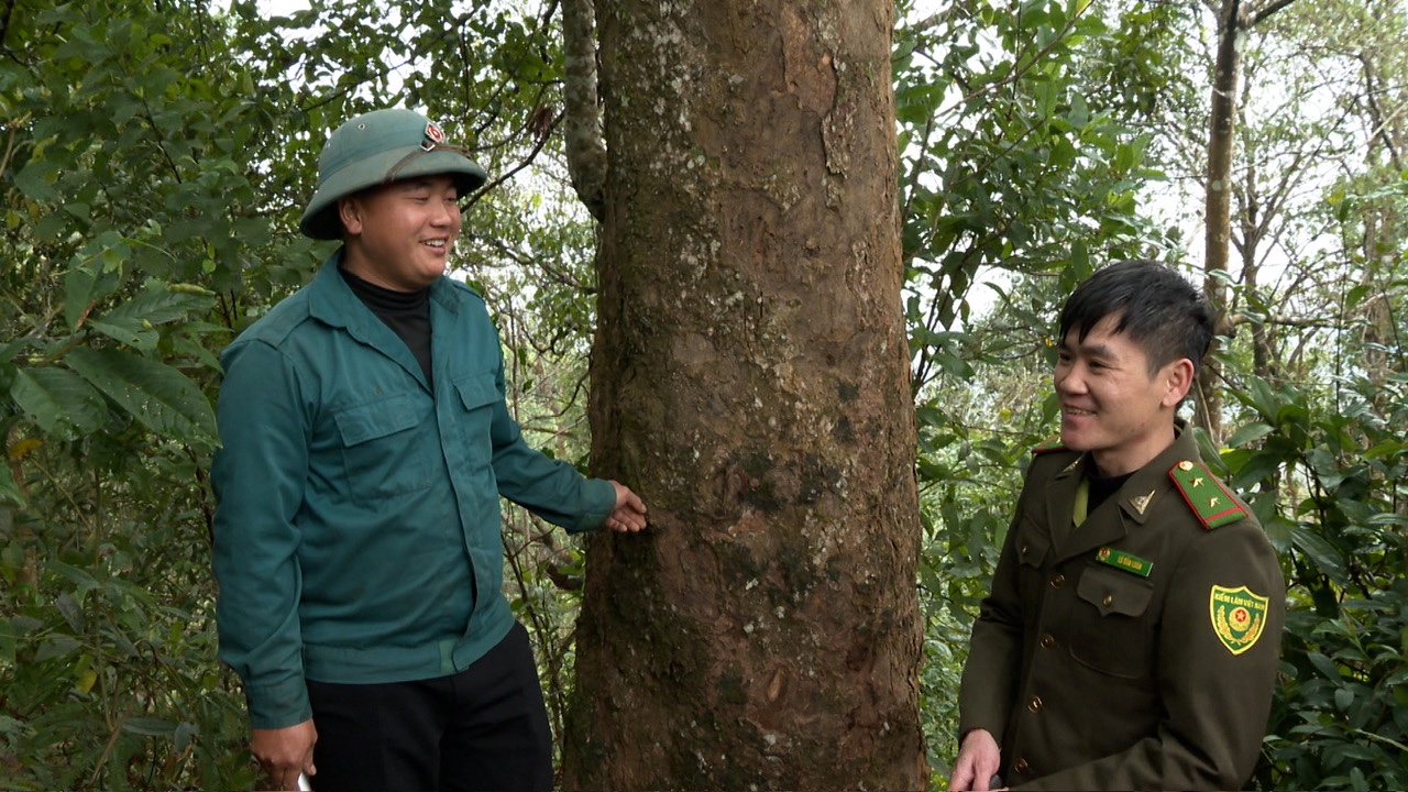 Lai Châu: Anh Lềnh giữ rừng