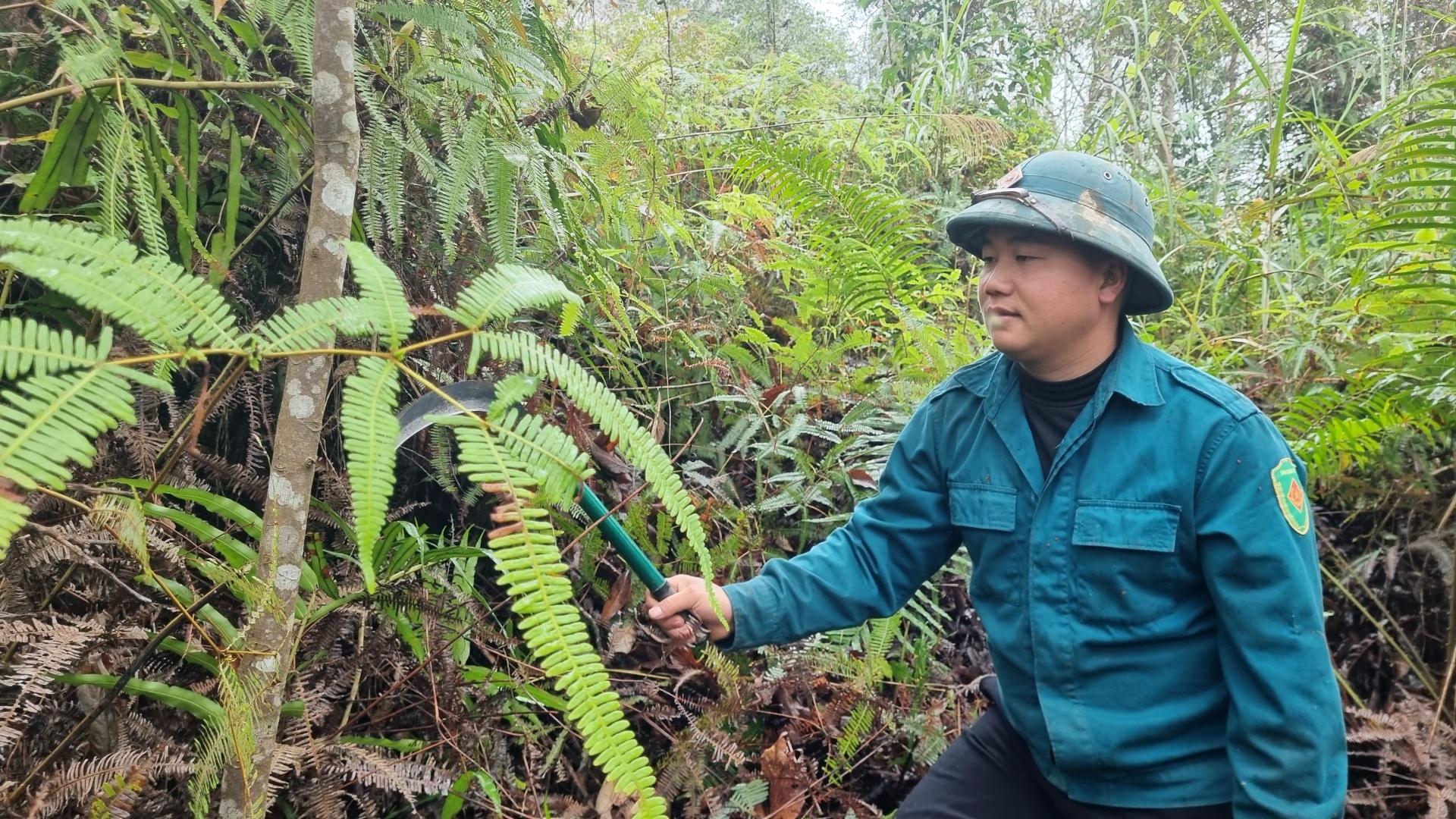 Lai Châu: Anh Lềnh giữ rừng