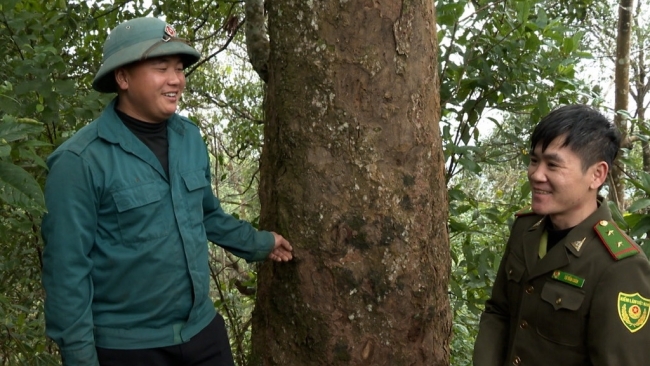 Lai Châu: Anh Lềnh giữ rừng