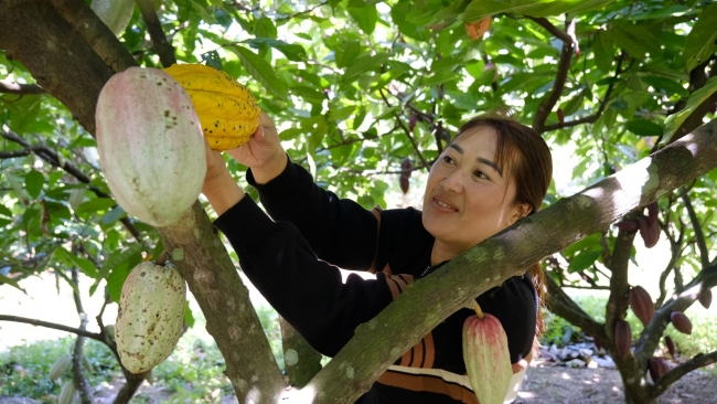 Lâm Đồng: Khi đồng bào chung sức xây dựng nông thôn mới