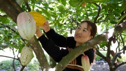 Lâm Đồng: Khi đồng bào chung sức xây dựng nông thôn mới