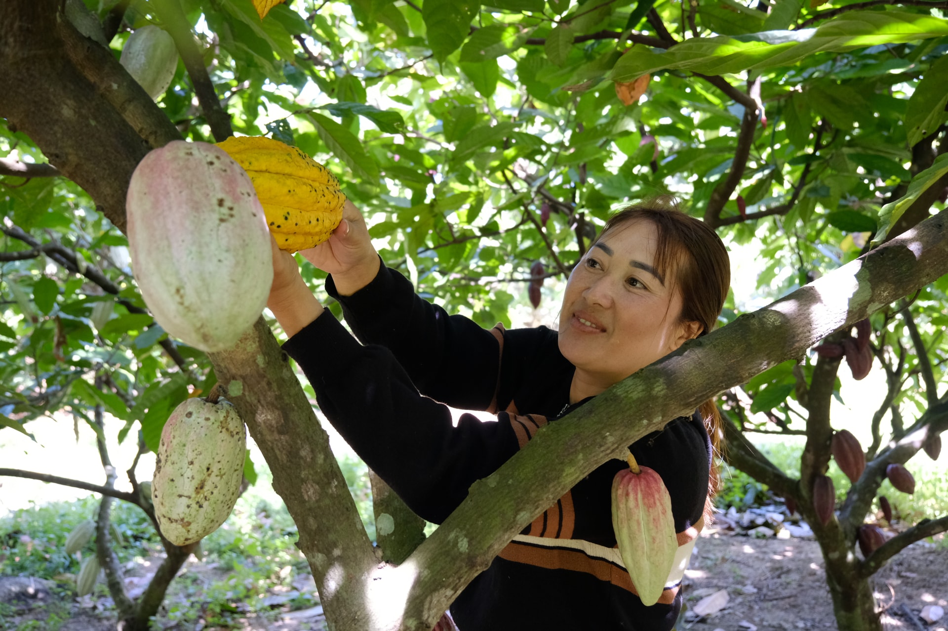 Lâm Đồng: Khi đồng bào chung sức xây dựng nông thôn mới