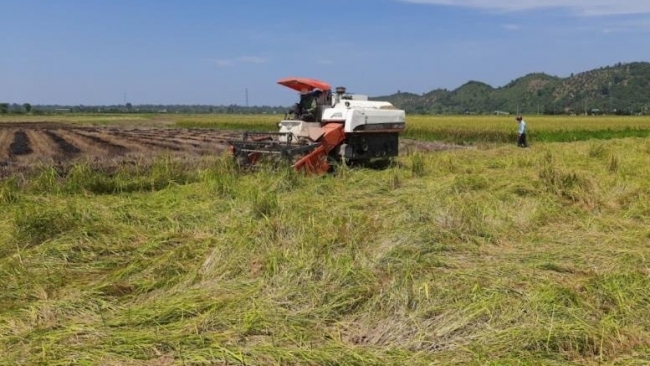 Lâm Đồng: Cơ giới hóa nâng tầm giá trị nông nghiệp