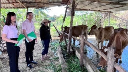 Lâm Đồng: Phát triển kinh tế vùng DTTS từ cách trao “cần câu”