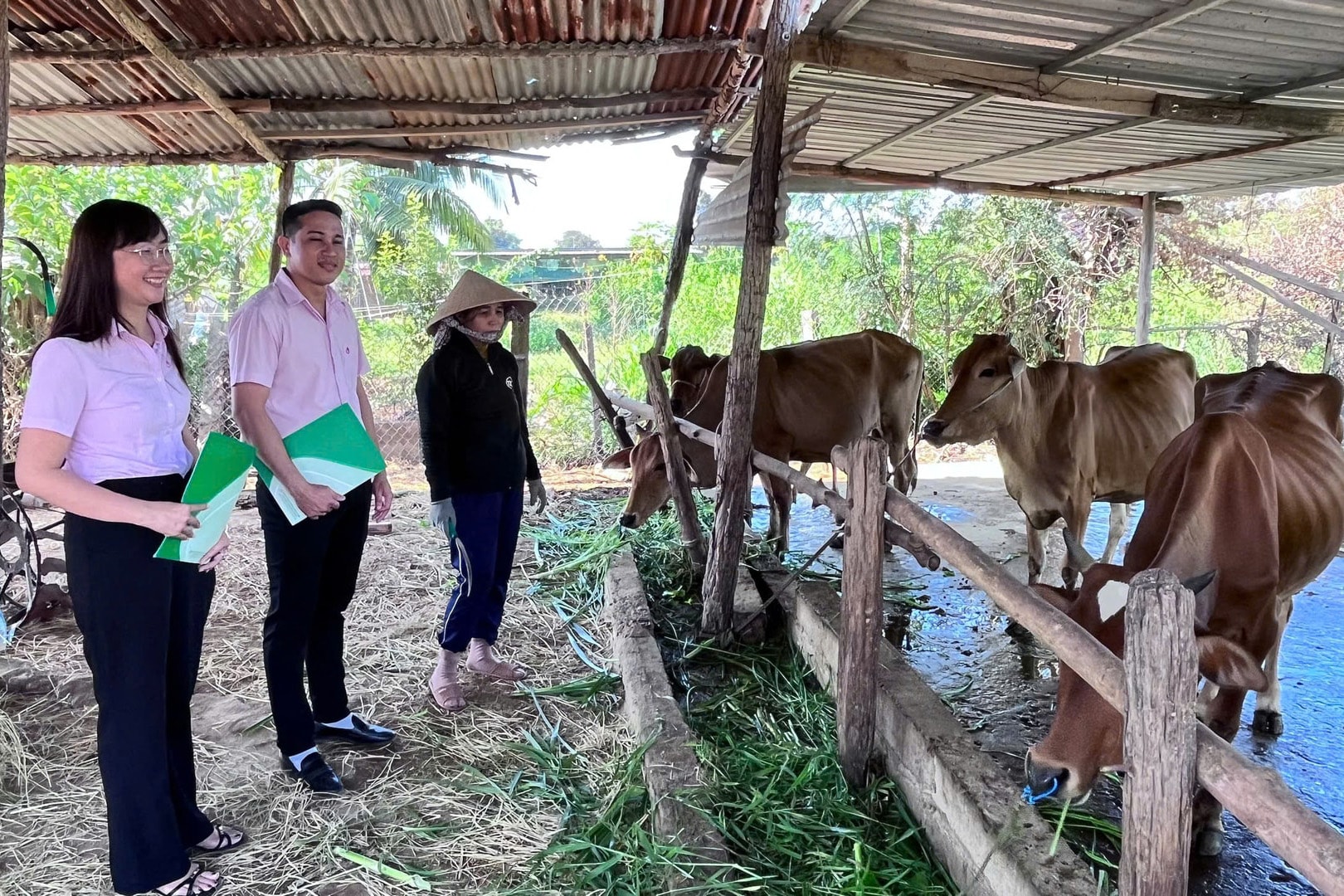 Lâm Đồng: Phát triển kinh tế vùng DTTS từ cách trao “cần câu” Lâm Đồng: Phát triển kinh tế vùng DTTS từ cách trao “cần câu”