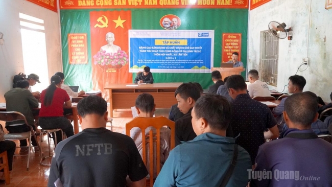 Tuyên Quang: Tân Tiến tập huấn nâng cao sản lượng, chất lượng chè Shan tuyết