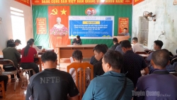 Tuyên Quang: Tân Tiến tập huấn nâng cao sản lượng, chất lượng chè Shan tuyết