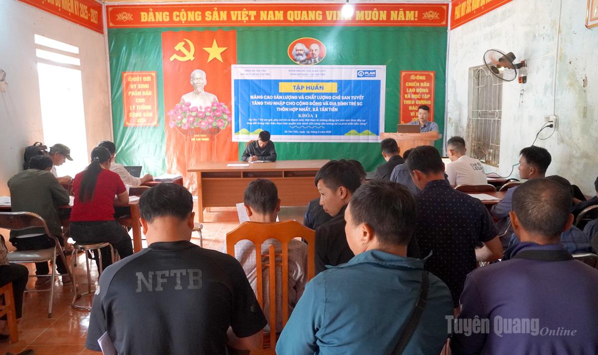 Tuyên Quang: Tân Tiến tập huấn nâng cao sản lượng, chất lượng chè Shan tuyết