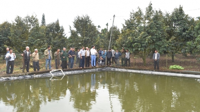 Lâm Đồng: Giải pháp cho cây trồng “vượt hạn”