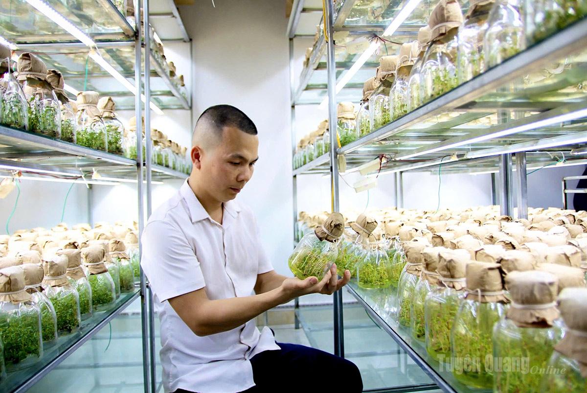 Tuyên Quang: Người ươm mầm xanh Tuyên Quang: Người ươm mầm xanh