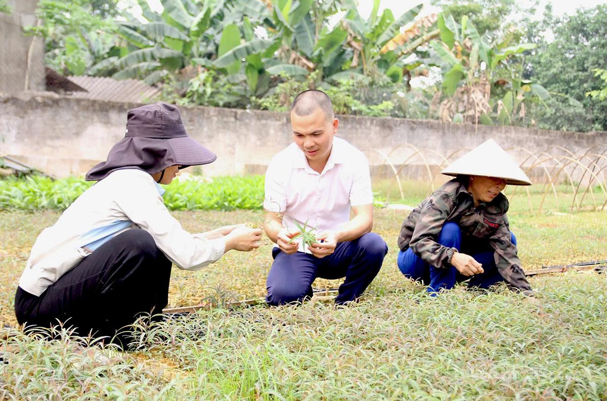 Tuyên Quang: Người ươm mầm xanh Tuyên Quang: Người ươm mầm xanh