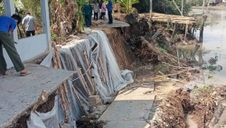 Cần Thơ: Sạt lở ven sông xã Nhơn Mỹ, nhấn chìm 1 nhà dân