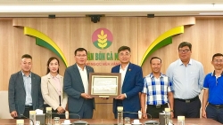 PVCFC mở rộng hợp tác quốc tế, tạo động lực tăng trưởng mới