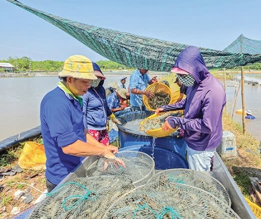 Cần Thơ: Nhiều giải pháp để kinh tế thành phố tăng trưởng cao
