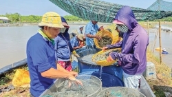 Cần Thơ: Nhiều giải pháp để kinh tế thành phố tăng trưởng cao