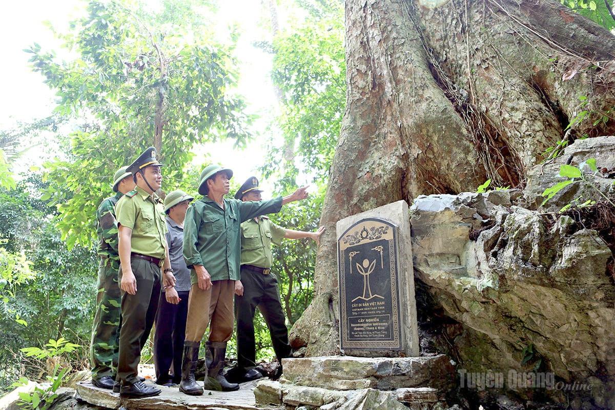 Tuyên Quang: Nà Hang huyền thoại