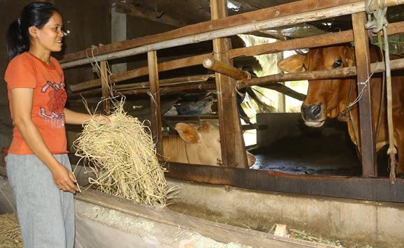 Cần Thơ: “Lấy ngắn nuôi dài” để phát triển kinh tế