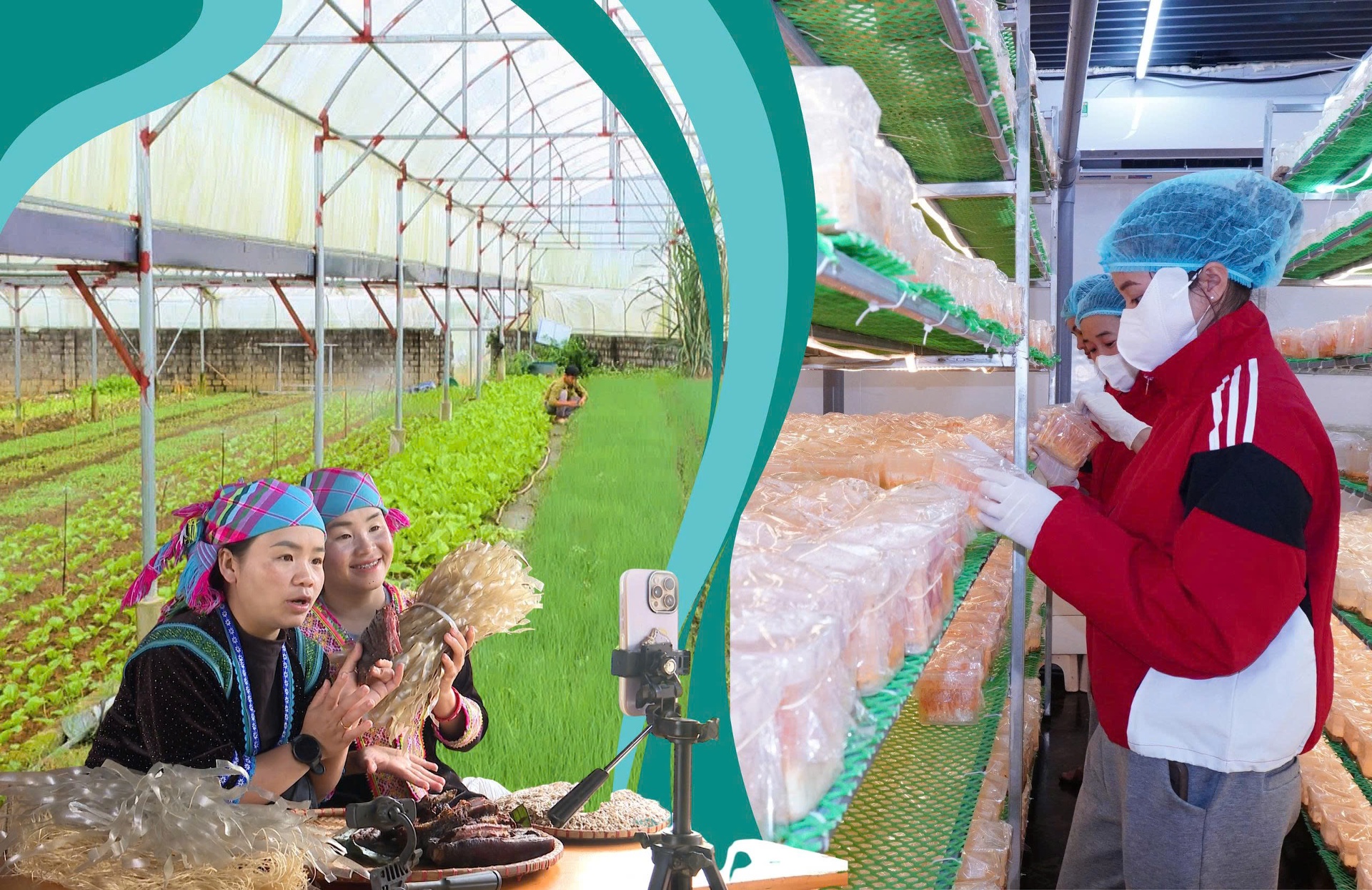 Nông sản Lai Châu vươn xa nhờ công nghệ số