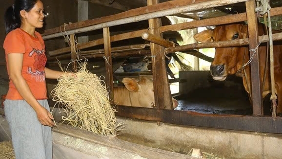 Cần Thơ: “Lấy ngắn nuôi dài” để phát triển kinh tế